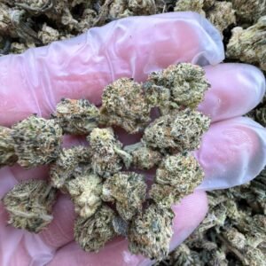 Jealousy weed strain