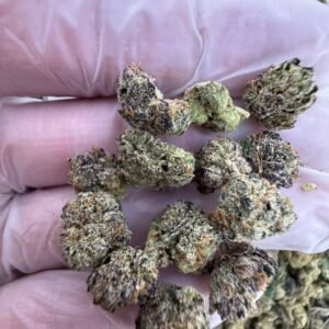 Exotic weed strain