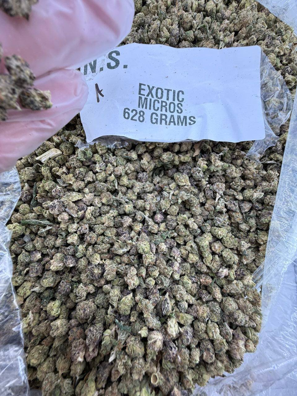 Exotic weed strain - Image 3