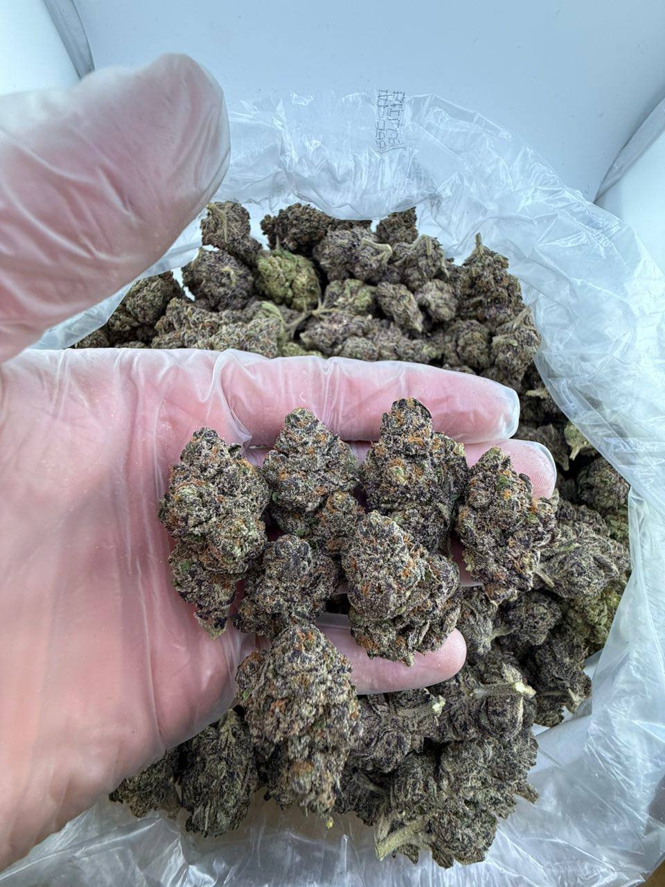 Purple sizz strain - Image 2