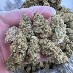 Real deal gorilla glue strain