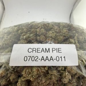 Cream pie strain