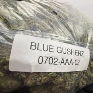 Blue gushers strain