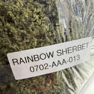 rainbow sherbet, rainbow sherbet strain, rainbow sherbet, rainbow sherbert, rainbow sherbert strain, rainbow sherbet weed strain, rainbow sorbet strain, rainbow sherb strain, rainbow sherb strain, rainbow sherb, rainbow sherbet weed, rainbow zerbert strain, rainbow sherbet strain effects, rainbow sherbet strain indica or sativa, rainbow sherbert weed, rainbow sherbet marijuana strain, rainbow weed, what strain is rainbow sherbet, high supply raibow sherbert, sherbet weed strain, rainbow sherbet strain, rainbow sherbet strain effects, rainbow shebert,