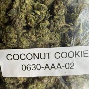 coconut strain, coconut weed strain, coconut cloud strain, coconut pie strain, coconut strain, coconut cream strain