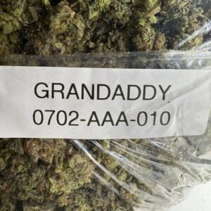 granddaddy purple, grandaddy purple, grand daddy purple strain, grand daddy purple,gdp strain, granddaddy purp, grand daddy purp, granddaddy purp strain, grand daddy purp strain, grandaddy purp, granddaddy purple strain, grandaddy purp strain, grandaddy purple strain, g.d.p strain, grand daddy purps strain, strain gdp, weed grand daddy purple, granddaddy purple strain effects, granddaddy purple leafly, granddaddy purp leafly, granddaddy, gdp weed, grand purple daddy, gdp weed strain, granddaddy purple weed strain, purple granddaddy, granddaddy purple strains, gran daddy purp, purp weed, granddaddy purple plant, gdpc strain, granddaddy purple weed, purple weed strain, gran daddy purple, granddaddy purple terpenes
